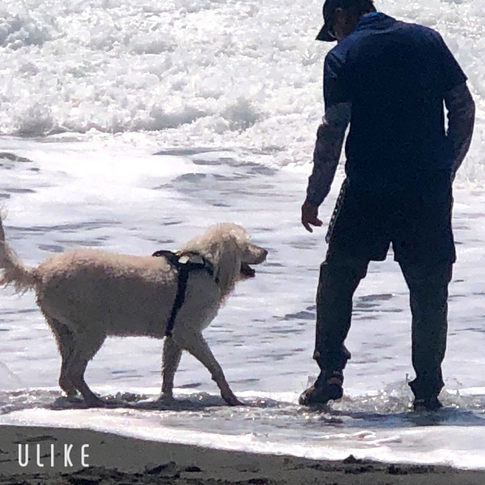 just a buyer, thank you!